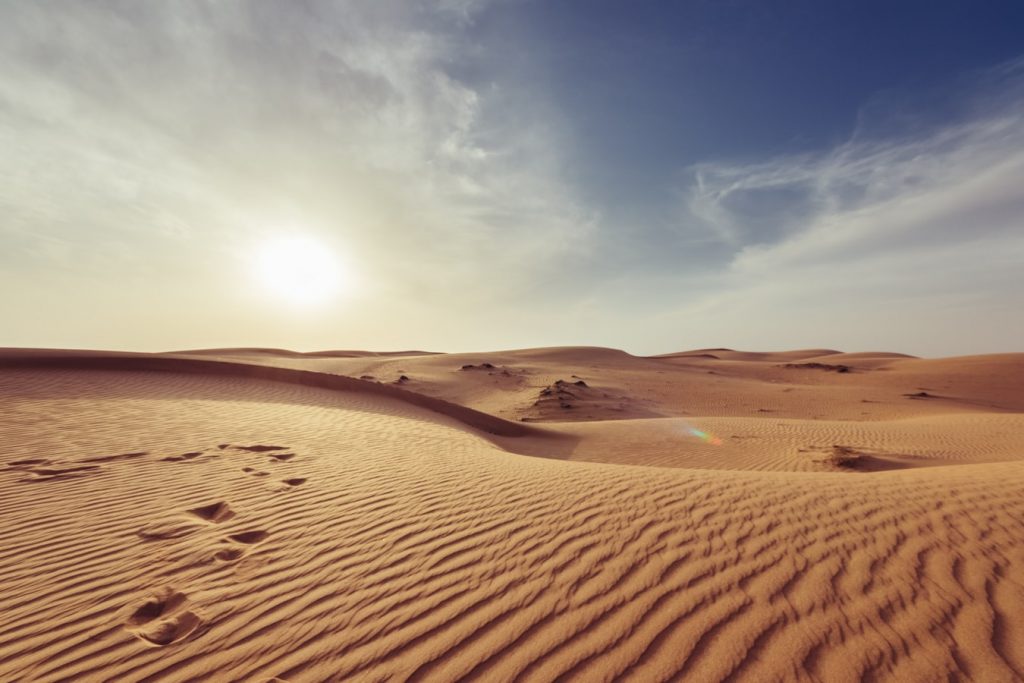 A Valley of Dry Bones